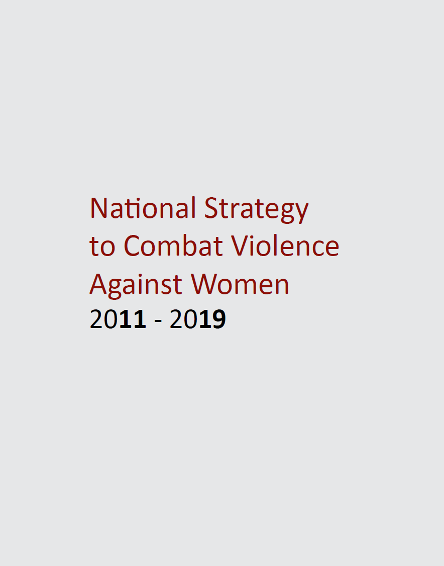 Strategic Plan to Combat Violence Against Women 