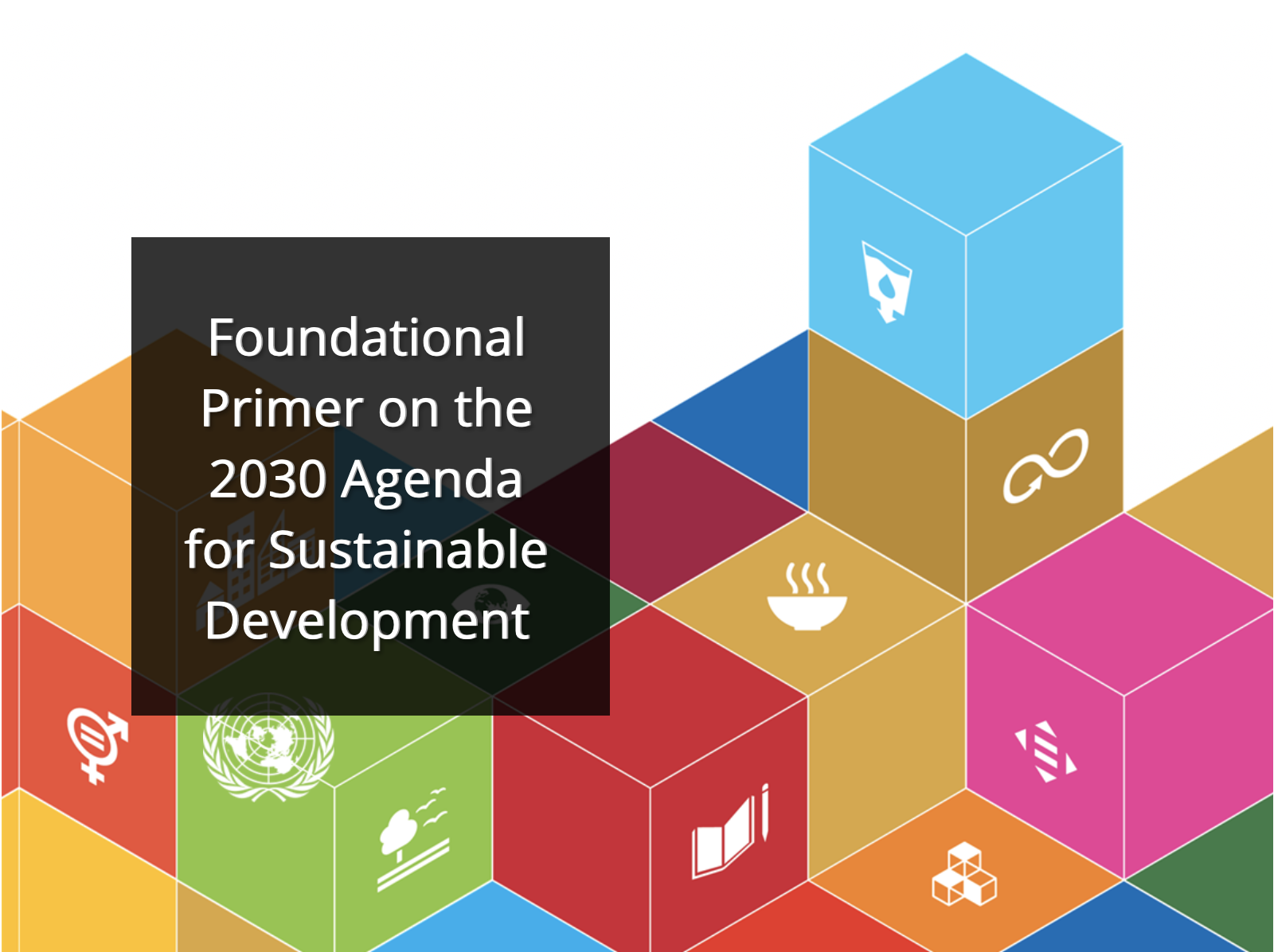 Foundational Primer on the 2030 Agenda for Sustainable Development