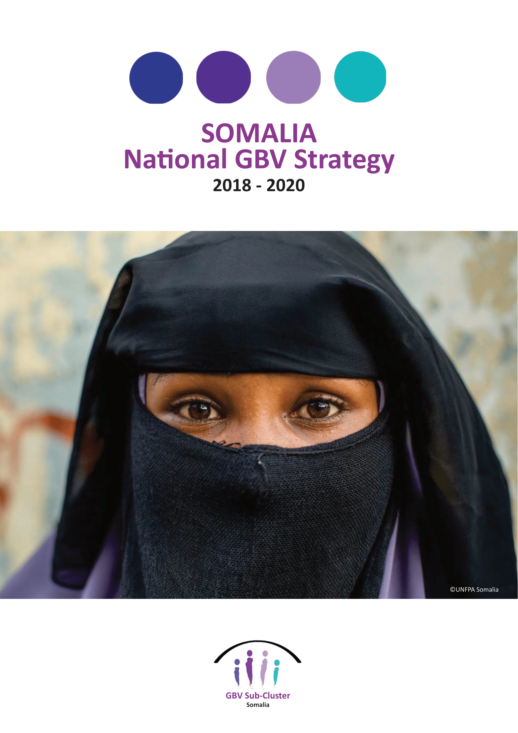 Somalia’s National GBV strategy (2018-2020)