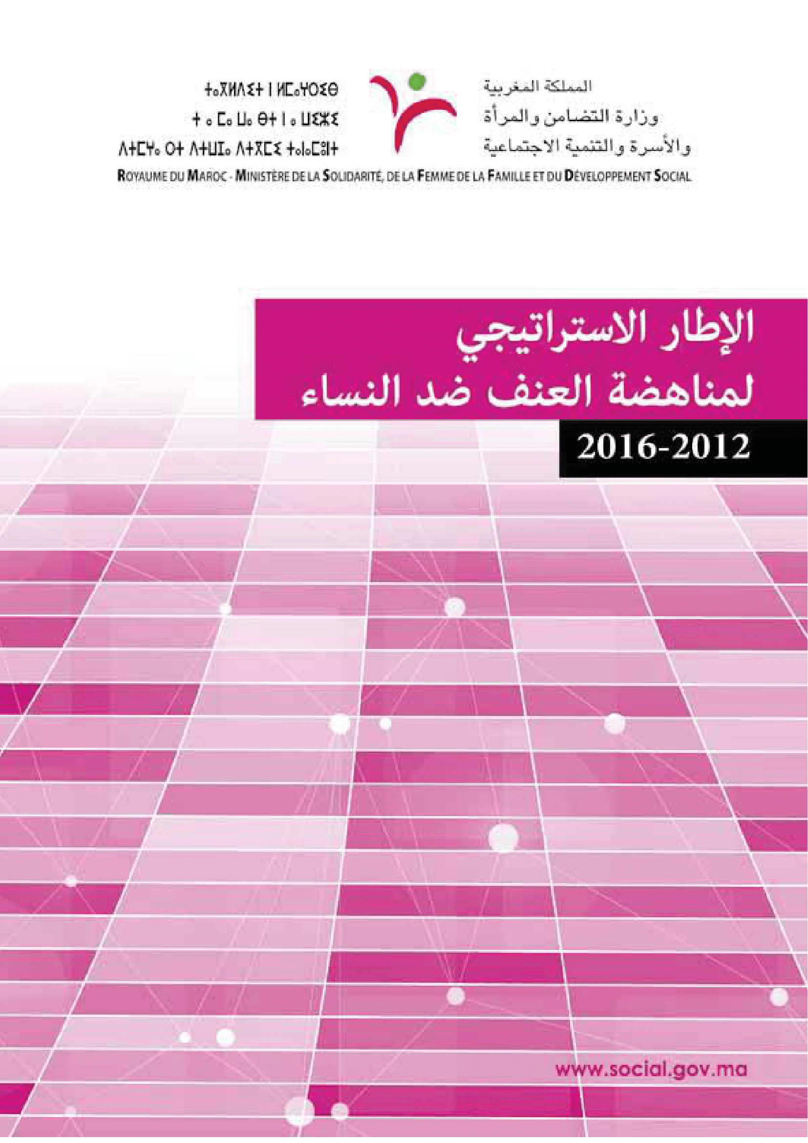 الإطار الاستراتيجي لمناهضة العنف ضد المرأة 2012-2016